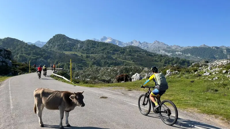 Ruta del Salmón en bicicleta de montaña desde Arriondas, Asturias