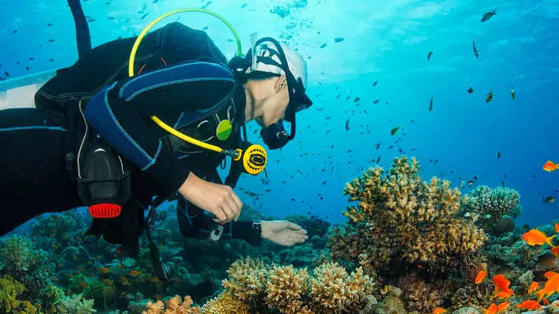 Curso de buceo Diver Stress & Rescue de SSI desde el Puerto de Hondarribia, Guipúazcoa