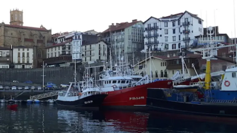 Paseo en barco al atardecer para disfrutar de la puesta de sol en San Sebastián, Guipúzcoa