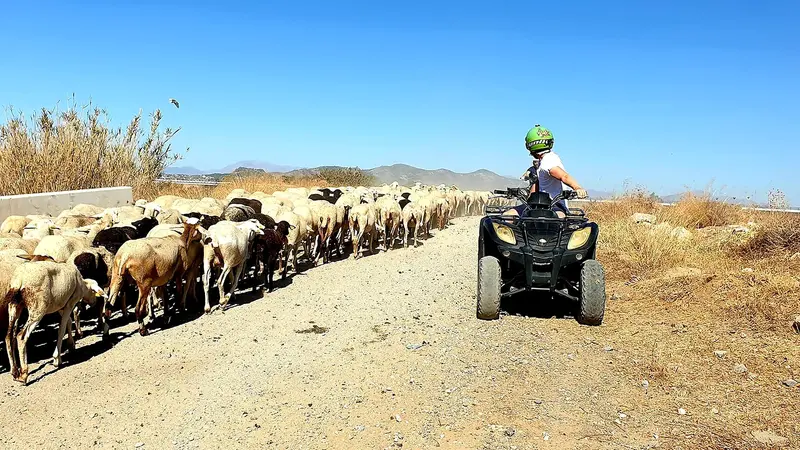 Ruta en quad por la Sierra de Mijas de 2 horas