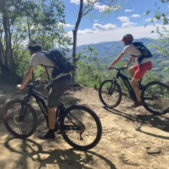 Ruta guiada privada en bicicleta de carretera por la Costa Vasca con recogida en alojamiento