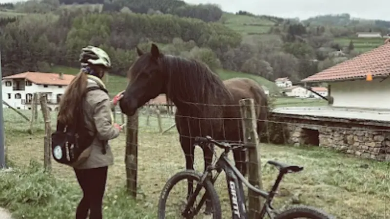 Alquiler de bicicleta de paseo eléctrica en San Sebastián, Guipúzcoa