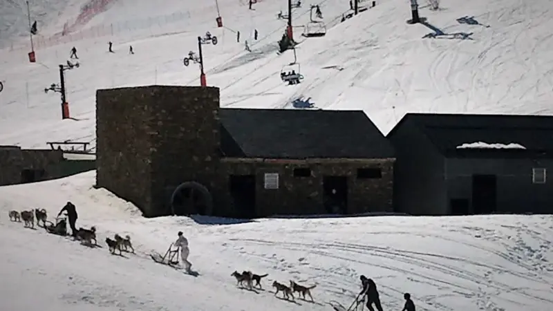 Mushing en tierras del Moncayo
