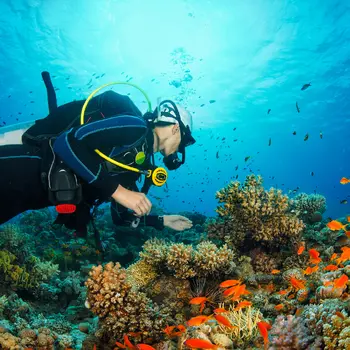 Curso de buceo Diver Stress & Rescue de SSI desde el Puerto de Hondarribia, Guipúazcoa