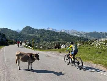 Ruta del Salmón en bicicleta de montaña desde Arriondas, Asturias