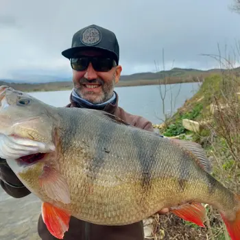 Jornada completa de pesca guiada con mosca en río en Guipúzcoa