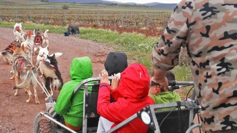 Mushing en tierras del Moncayo