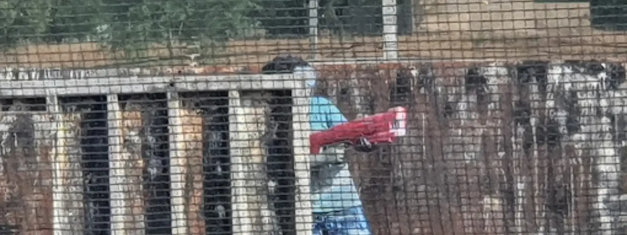 Paintball infantil con opción de merienda en La Canonja