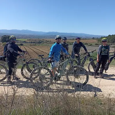 Alquiler y rutas guiadas en bicicleta eléctrica (e-bike) en Haro