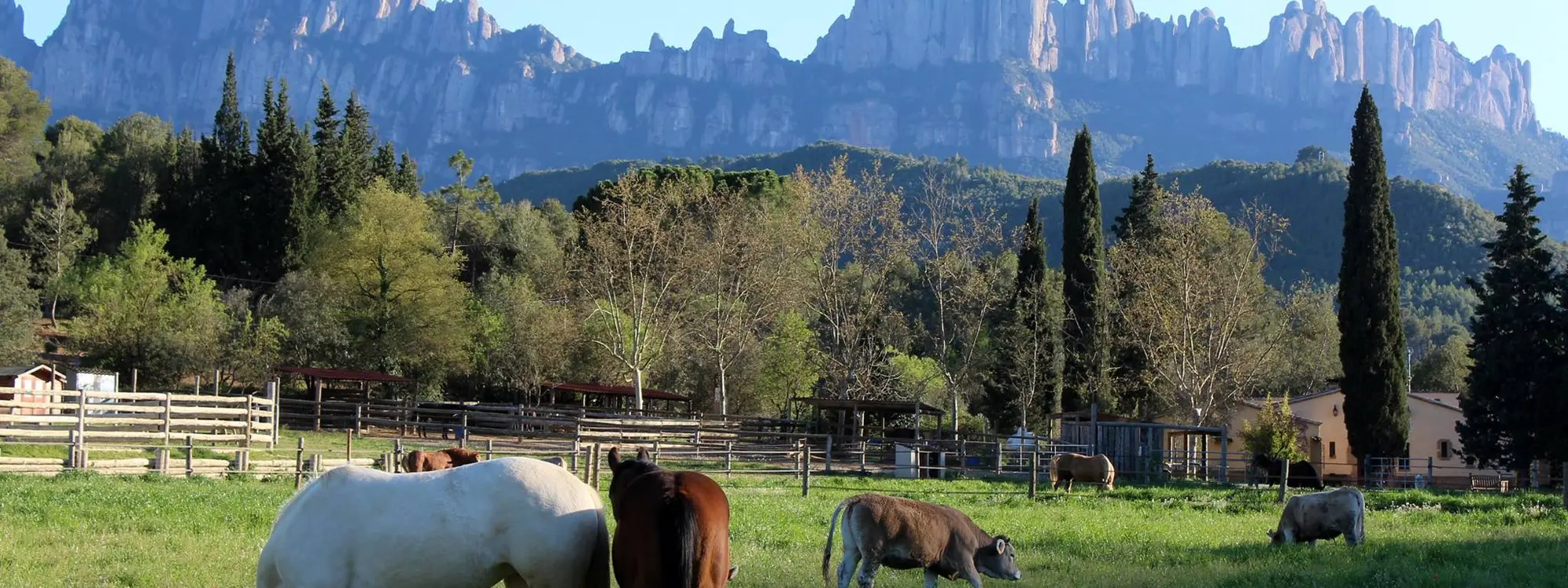 Ruta a caballo en Montserrat desde Castellbell i el Vilar