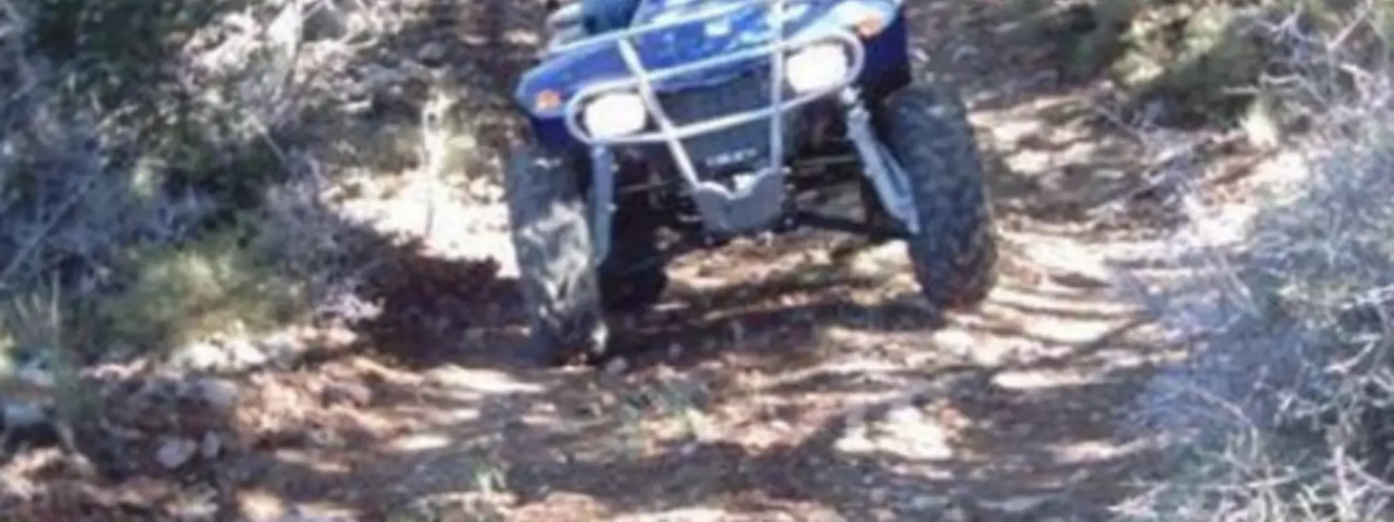 Ruta en Quad por los Olivos Centenarios y el río Guadalfeo
