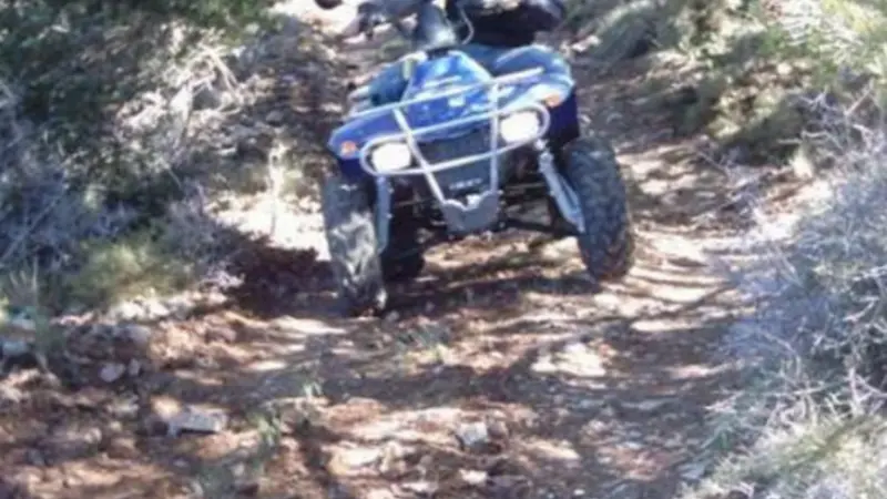 Ruta en Quad por los Olivos Centenarios y el río Guadalfeo