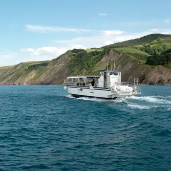 Paseo en barco compartido por el Flysch de Zumaia desde Zumaia, Guipúzcoa