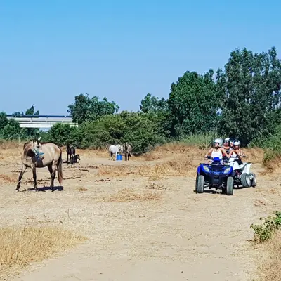 Ruta en quad corta por el río Guadalhorce en Málaga