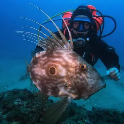 Curso PADI Open Water en Tossa de Mar