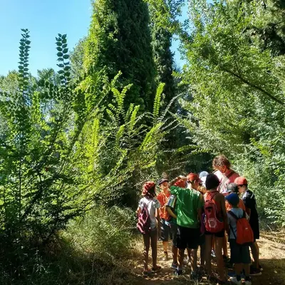 Excursión y curso de orientación en Alcaraz, Albacete