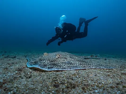 Bautismo de buceo en Tossa de Mar