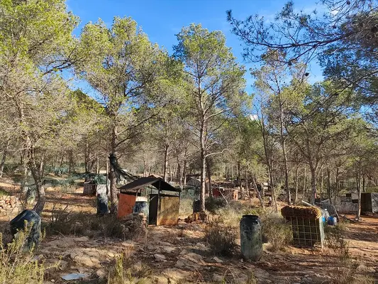 Paintball infantil y zona de picnic en Estivella