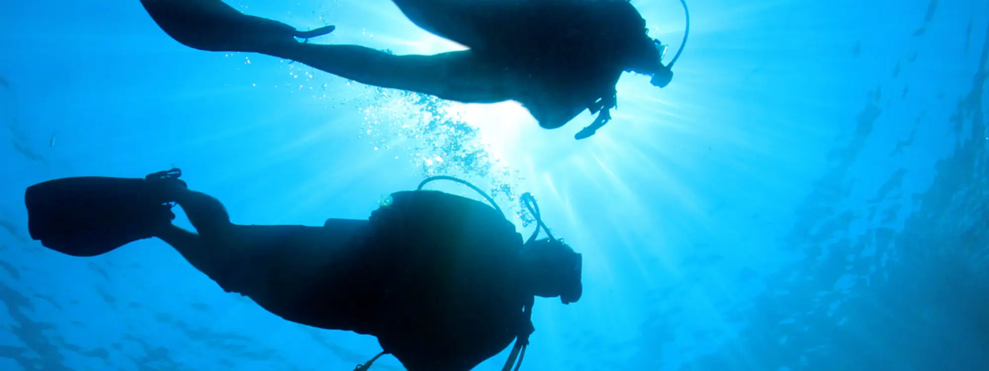 Bautismo de buceo desde el puerto de Hondarribia