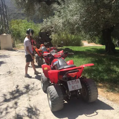 Ruta en Quad por el camino de los Olivos Centenarios
