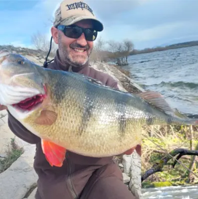 Media jornada de pesca guiada con mosca en río en Guipúzcoa