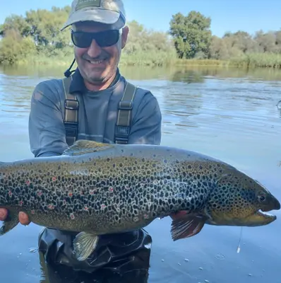Jornada completa de pesca guiada con mosca en río en Guipúzcoa