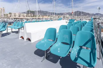 Avistamiento de Delfines en catamarán desde el Puerto Deportivo de Fuengirola