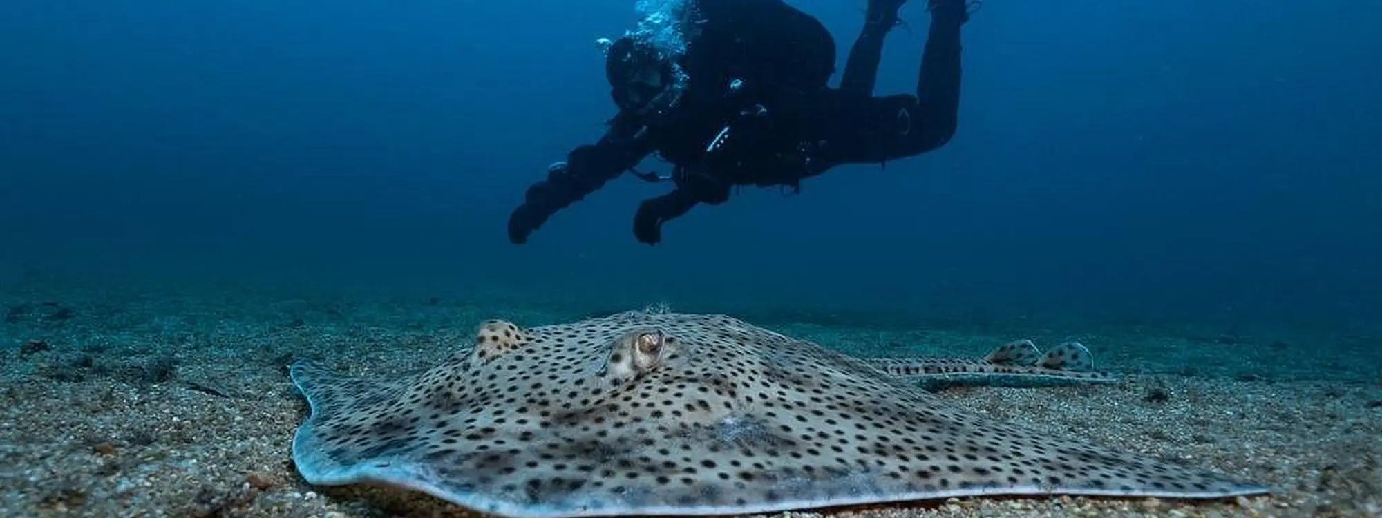 Bautismo de buceo en Tossa de Mar