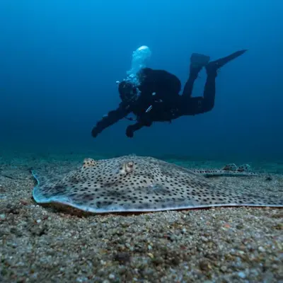 Curso PADI Open Water en Tossa de Mar