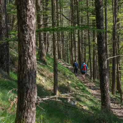 Excursión guiada de senderismo a Aiako Harriak, Guipúzcoa