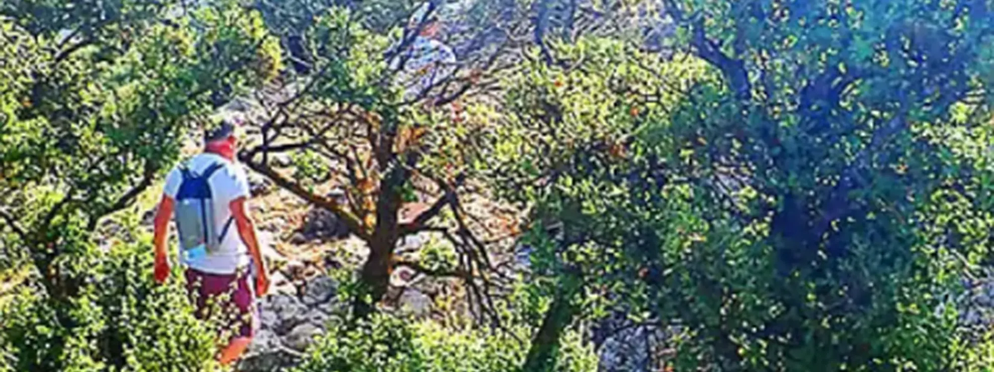 Senderismo en Sierra de Ordonxes (Ondoxes) y Serreta de Alcoy