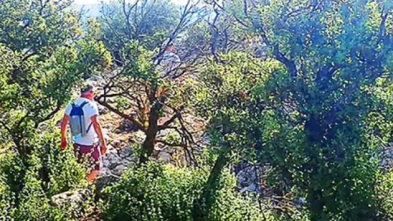 Senderismo en Sierra de Ordonxes (Ondoxes) y Serreta de Alcoy