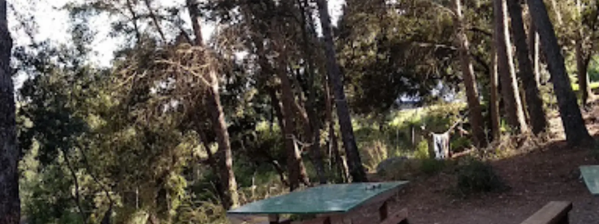 Paintball infantil con opción de merienda en Castellar del Vallès, Barcelona