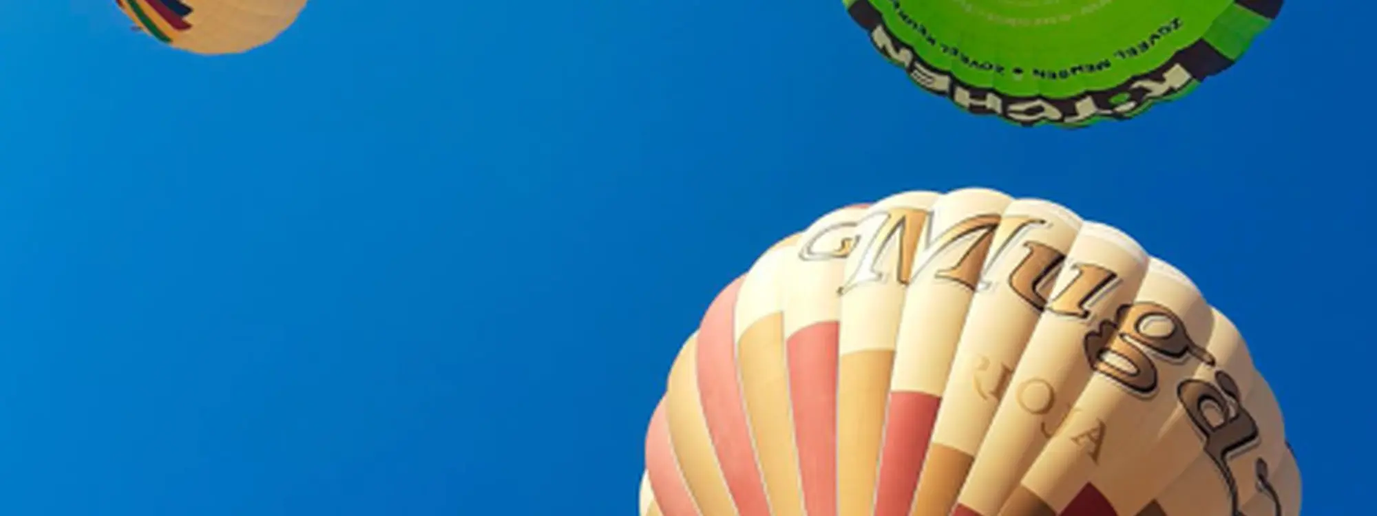 Vuelo en Globo en La Rioja