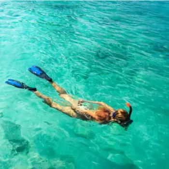 Snorkel guiado en Barcelona desde la Platja de Llevant