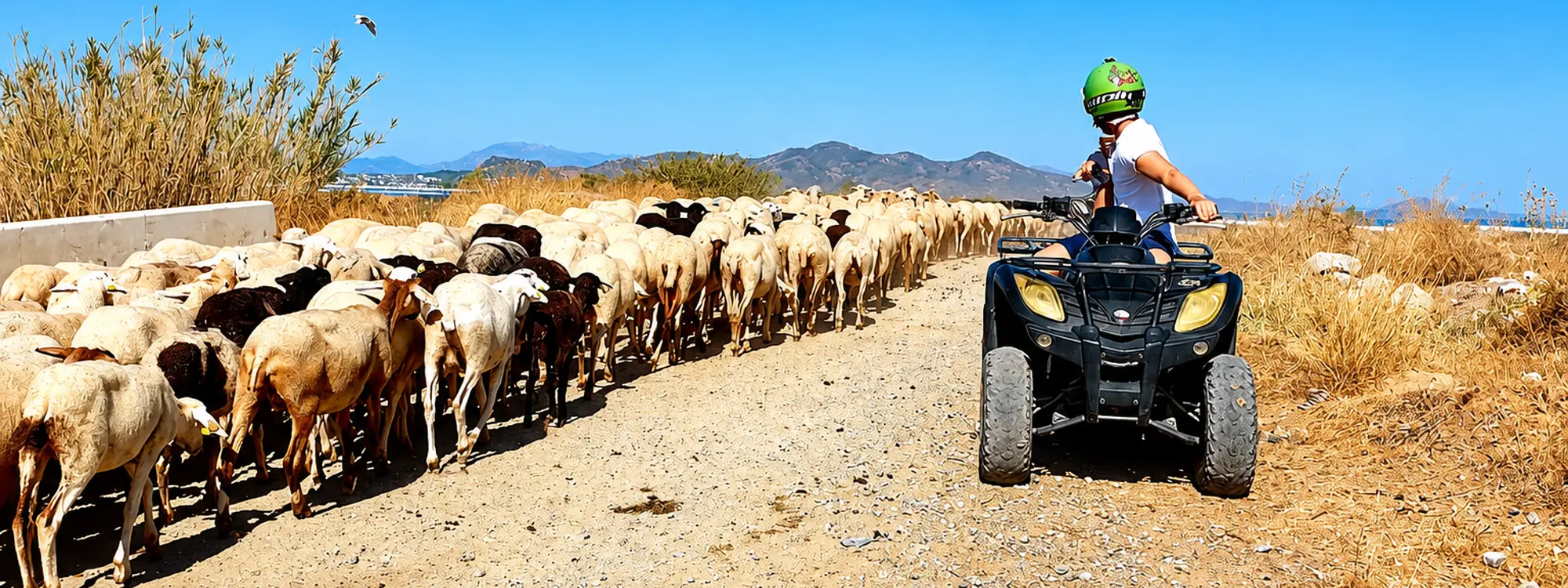 Ruta en quad de 2 horas por el Guadalhorce en Málaga