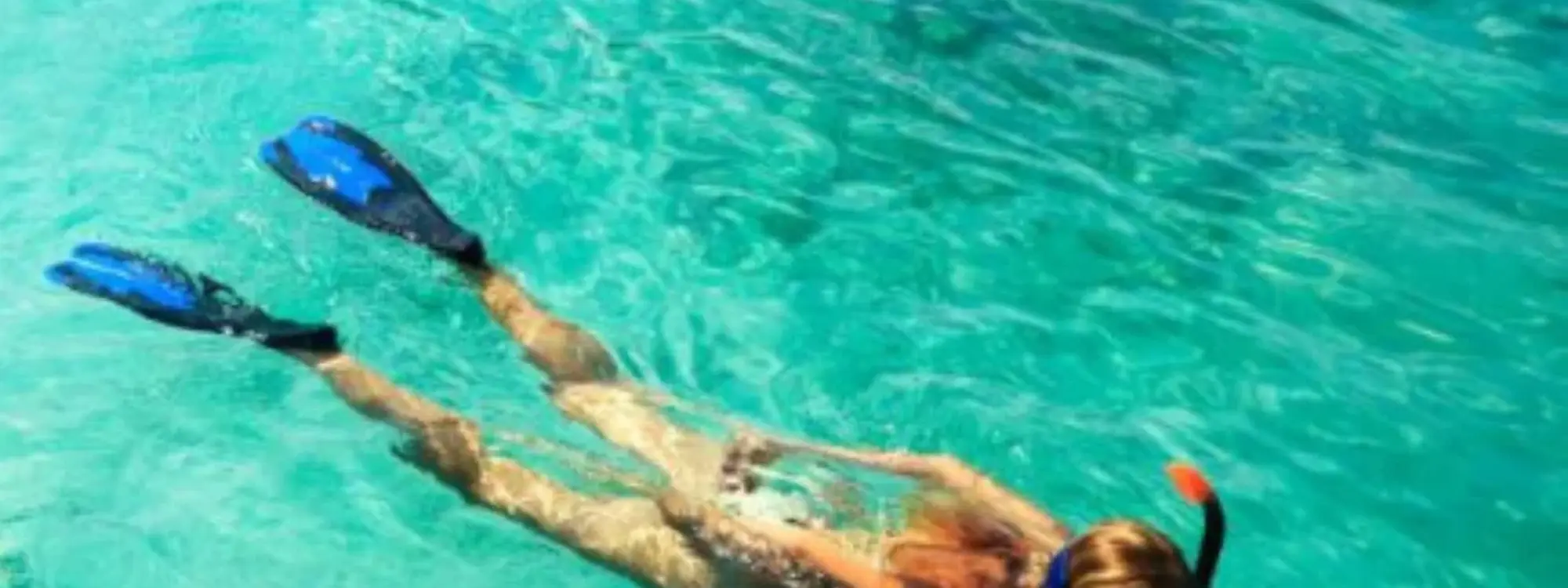Snorkel guiado en Barcelona desde la Platja de Llevant