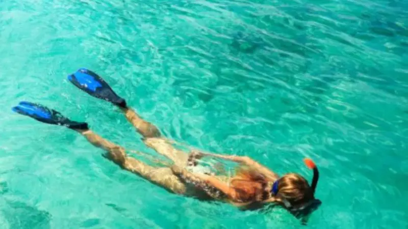 Snorkel guiado en Barcelona desde la Platja de Llevant