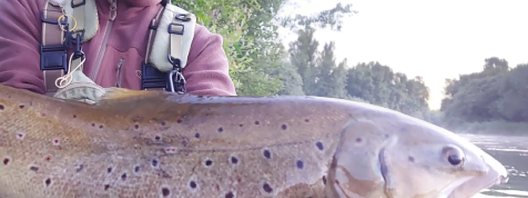 Jornada de Pesca guiada en el río Tormes