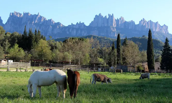 Ruta a caballo en Montserrat desde Castellbell i el Vilar