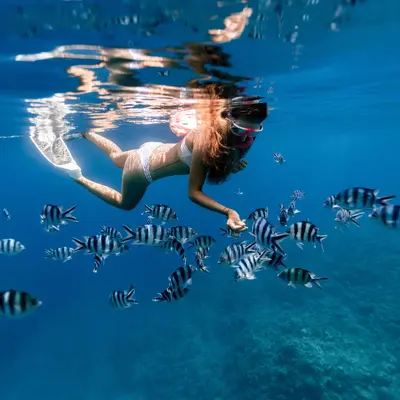 Snorkel guiado en Barcelona desde la Platja de Llevant