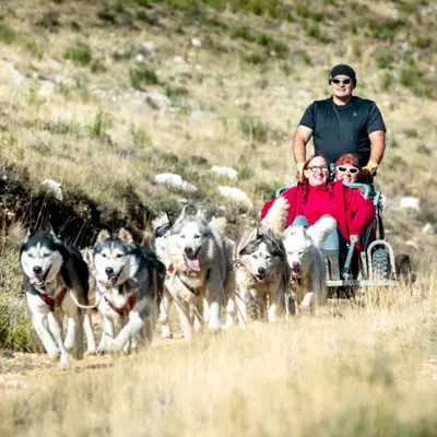 Ruta celtibérica en trineo de perros por Los Lombacos en Torrellas, tierras de misterios y leyendas del Moncayo