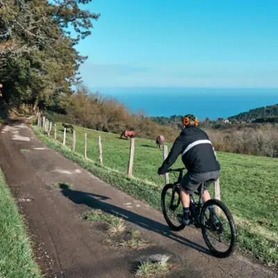 Ruta guiada privada en bicicleta eléctrica de montaña (e-MTB) por la Costa Vasca con recogida en alojamiento