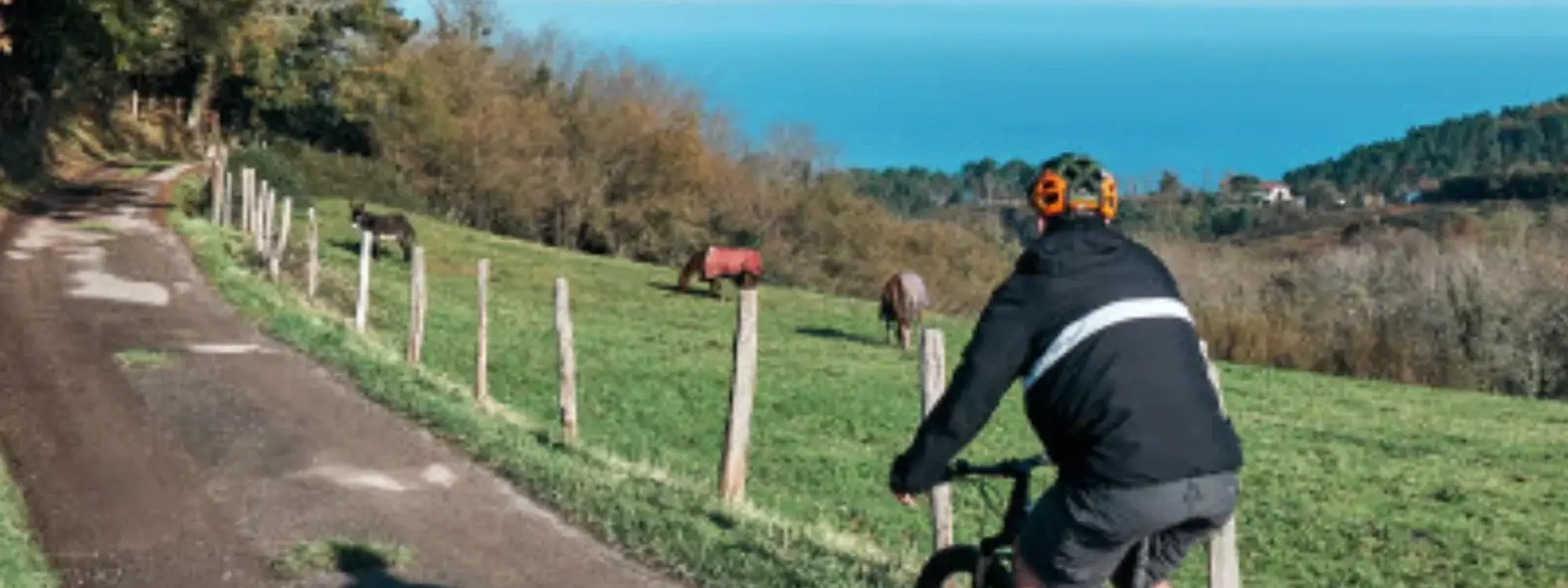 Ruta guiada en bicicleta eléctrica de montaña (e-MTB) por la Costa Vasca desde San Sebastián