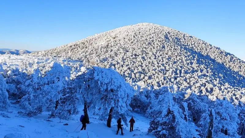 Raquetas de Nieve en Navacerrada: Explora la Ruta de Siete Picos
