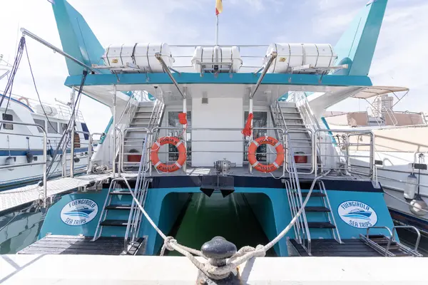 Avistamiento de Delfines en catamarán desde el Puerto Deportivo de Fuengirola