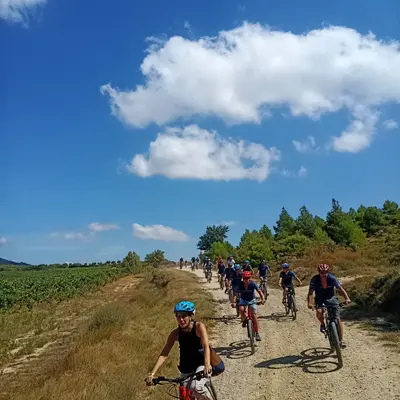 Alquiler y rutas guiadas en bicicleta eléctrica (e-bike) en Haro