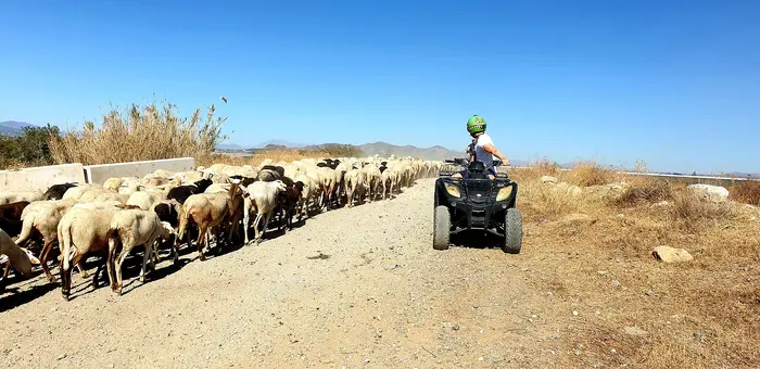 Ruta en quad corta por el río Guadalhorce en Málaga
