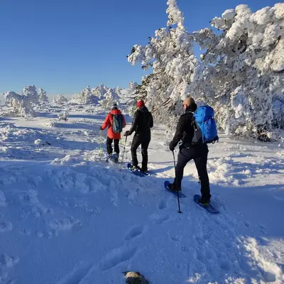 Raquetas de Nieve en Navacerrada: Explora la Ruta de Siete Picos