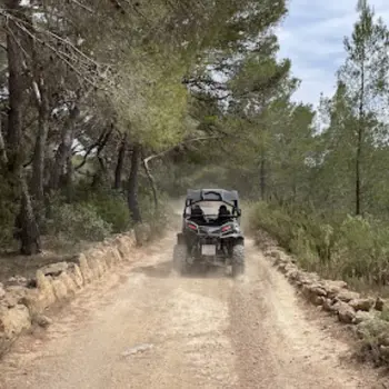 Ruta en Buggy Offroad por el lado más salvaje de la isla desde Sant Jordi, Ibiza